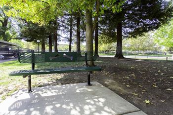 Bark avenue